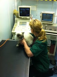 Forest Veterinary Surgery 263057 Image 2