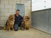 Goldborough House Kennels and Cattery 263021 Image 2