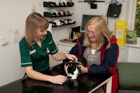 Green Pastures Veterinary Centre 261055 Image 4