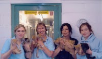 Happy Stay Cattery and Kennels 262801 Image 7