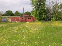 Hillway Boarding Kennels and Cattery 261508 Image 0