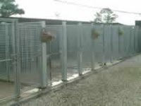 Landorn Boarding Kennels and Cattery 263166 Image 5