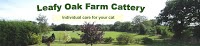 Leafy Oak Farm Cattery 261735 Image 3