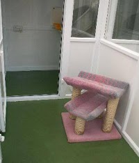 Martlets Cattery 263520 Image 3