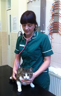 Mayow Veterinary Surgery 259405 Image 2