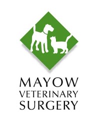 Mayow Veterinary Surgery 259405 Image 3