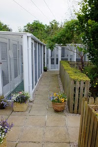 Meadowhill Cattery 260918 Image 1
