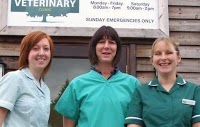 Mid Sussex Veterinary Clinic 262814 Image 0
