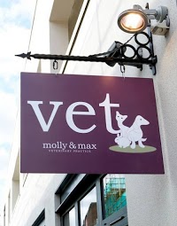Molly and Max Veterinary Practice 259849 Image 0
