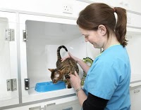 Molly and Max Veterinary Practice 259849 Image 4