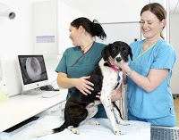 Molly and Max Veterinary Practice 259849 Image 5