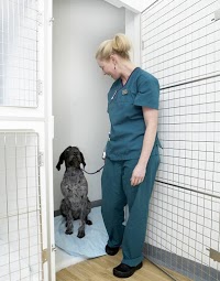 Molly and Max Veterinary Practice 259849 Image 7