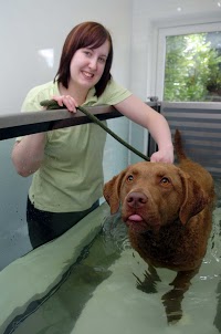 oak tree vets edinburgh