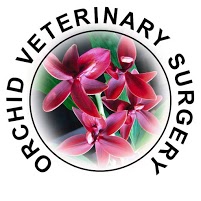 Orchid Veterinary Surgery 260541 Image 2