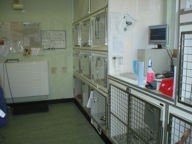 Park Issa Veterinary Hospital 259339 Image 7