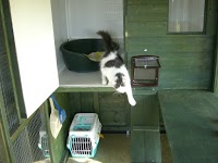 Paw House Cattery 263274 Image 3