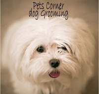 Pets corner dog grooming portadown 259368 Image 0