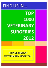 Prince Bishop Veterinary Hospital 263586 Image 8