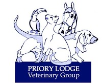 Priory Lodge Veterinary Services Ltd 261051 Image 6