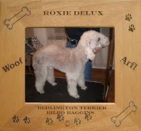 Roxie Delux Dog Grooming 261656 Image 1