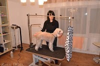 Roxie Delux Dog Grooming 261656 Image 7