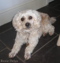Roxie Delux Dog Grooming 261656 Image 9