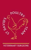 St Davids Poultry Team   Chicken Vets 263136 Image 1