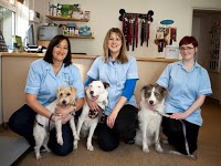 Sunninghill Veterinary Centre 261965 Image 0