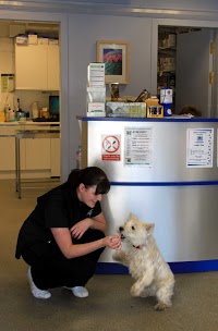 Taylor Veterinary Practice Ltd 262151 Image 0