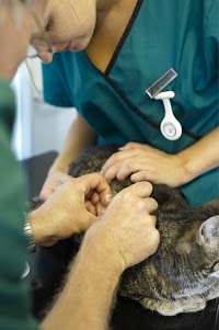 Thameswood Veterinary Clinics Ltd 260998 Image 2