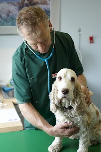 Thameswood Veterinary Clinics Ltd 260998 Image 6