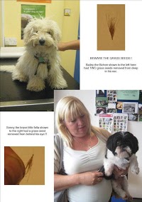 The 4 Paws Veterinary Centre 261687 Image 2