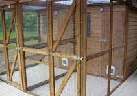 The Fovant Cattery.co.uk 262703 Image 7