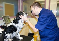 The Laurels Veterinary Surgery In Runcorn Halton Wa7 5ss