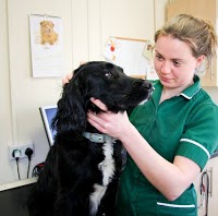 The Laurels Veterinary Surgery In Runcorn Halton Wa7 5ss