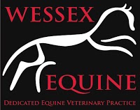 Wessex Equine Limited (Dedicated Equine Vets) 261709 Image 4