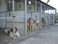 Wharfedale Kennels and Cattery 263028 Image 3