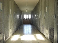 Wharfedale Kennels and Cattery 263028 Image 5
