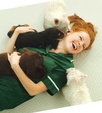 Woodcroft Veterinary Group Cheadle 260332 Image 7