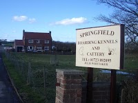 springfield kennels